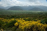 Gr&egrave;ce (P&eacute;loponn&egrave;se) en 2018