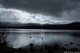Randonn&eacute;es en Ecosse en 2019