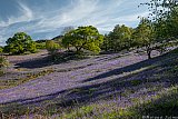 Randonn&eacute;es en Ecosse en 2019